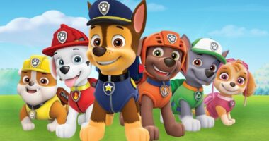 Why We Might Never See Wedding Crashers 2? DIY PAW Patrol Flashlight Signal Activity –