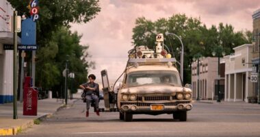 The Lost Daughter Release Date, Cast, Plot and Is It Really Worth Waiting? Ghostbusters: Afterlife – What Is The Buzz About?
