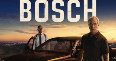 Hank And Dove – Is There Going To Be Bosch Season 8?