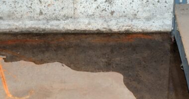 Essential Aspects of Franchising Law Every Franchisee Must Understand How Proper Basement Leak Repair Can Save You Thousands
