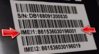The Importance of Dry Bedding in Thrush Prevention IMEI Numbers: Your Phone’s Digital Fingerprint
