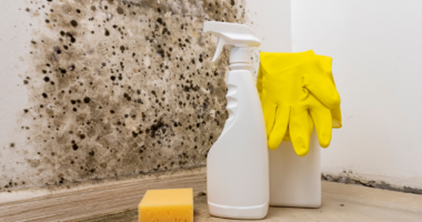 Special Effects Equipment: Rent vs. Buy – What’s Best for Your Event? Why Identifying Black Mold Early Can Save Your Home (and Health)