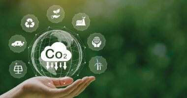 Building the Perfect Accounting Department – What You Need to Know Understanding Carbon Accounting – A Comprehensive Guide for Businesses
